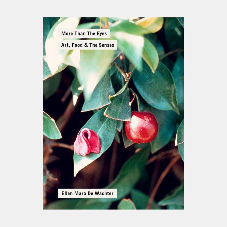 Image may contain Plant Food Fruit Produce Flower Petal Leaf and Person
