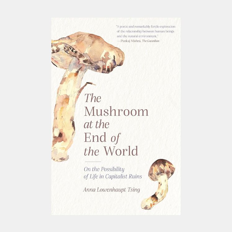 Image may contain Fungus Plant Advertisement and Poster