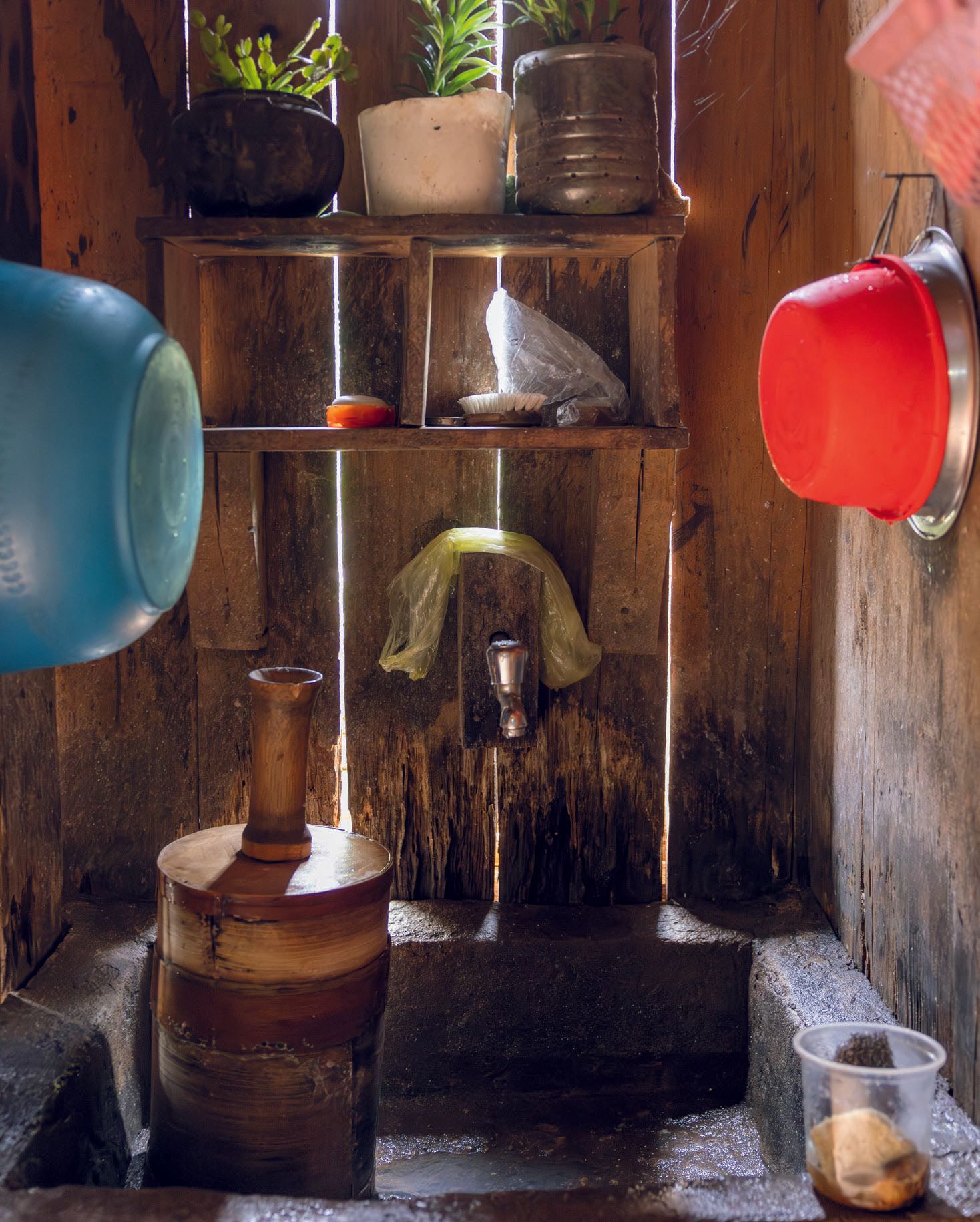 Image may contain Sink Sink Faucet Plant and Balloon