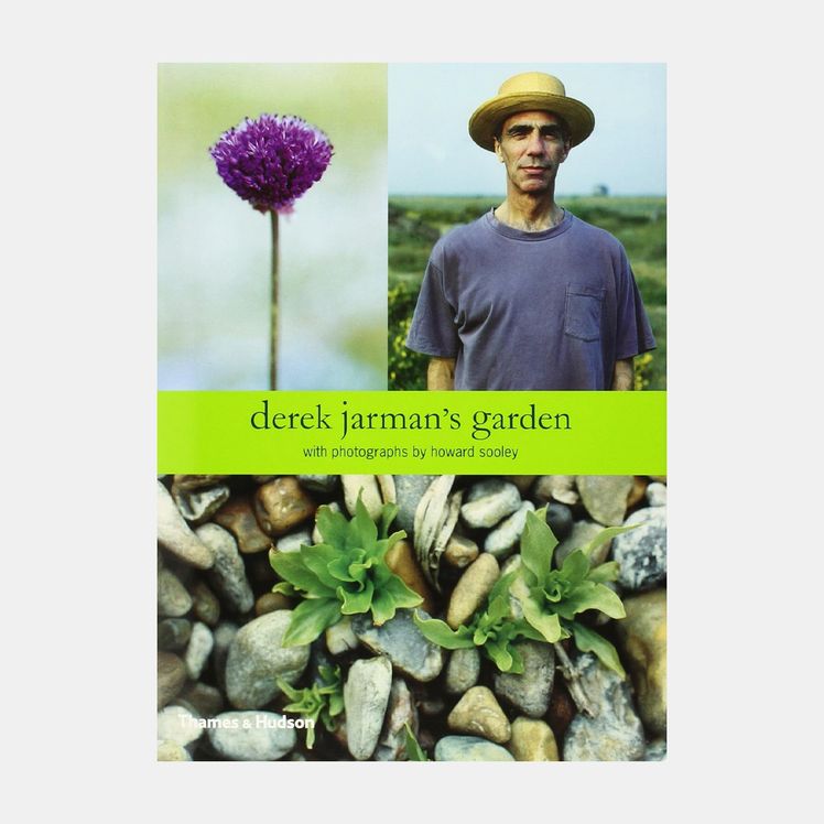 Image may contain Purple Herbal Herbs Plant Rock Photography Face Head Person Portrait Vegetation and Clothing