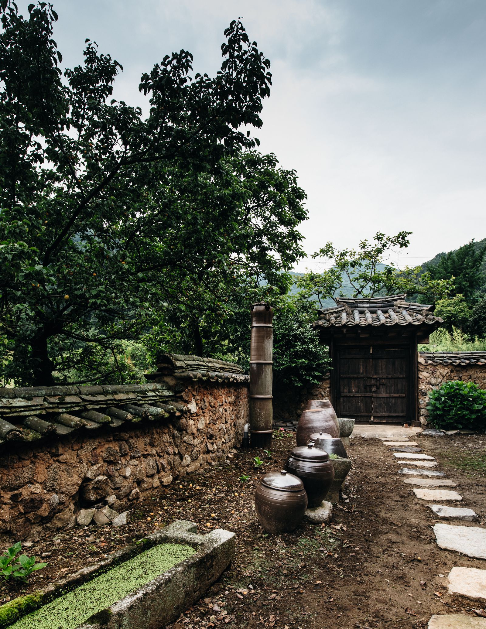 Image may contain Path Walkway Flagstone Outdoors Cookware Pot Nature Garden and Graveyard