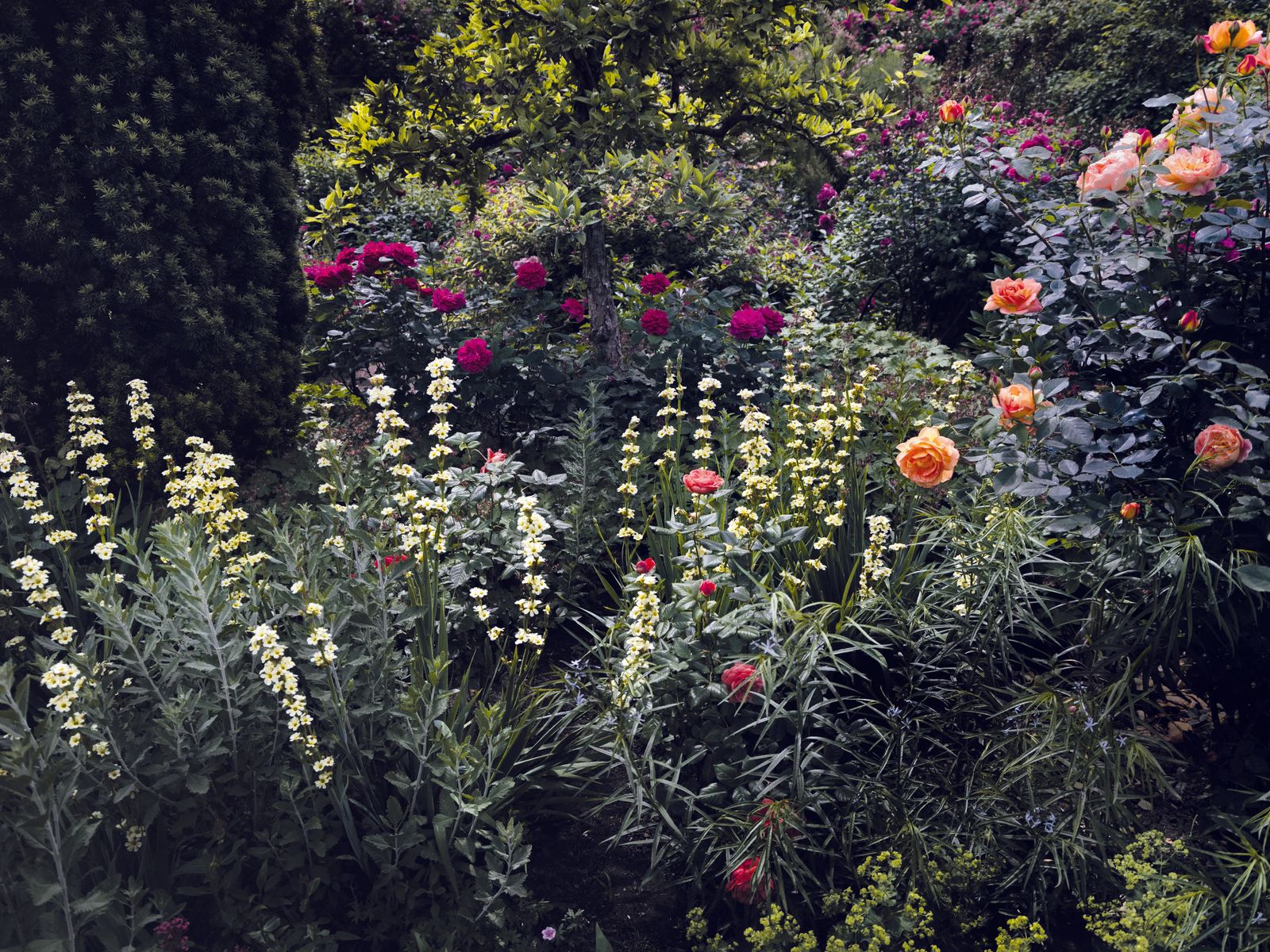 The extraordinary beauty of fashion designer Dries van Noten’s garden