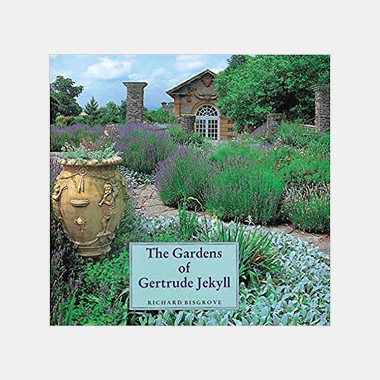 Image may contain Jar Plant Planter Potted Plant Pottery Vase Garden Nature Outdoors Vegetation Backyard and Yard