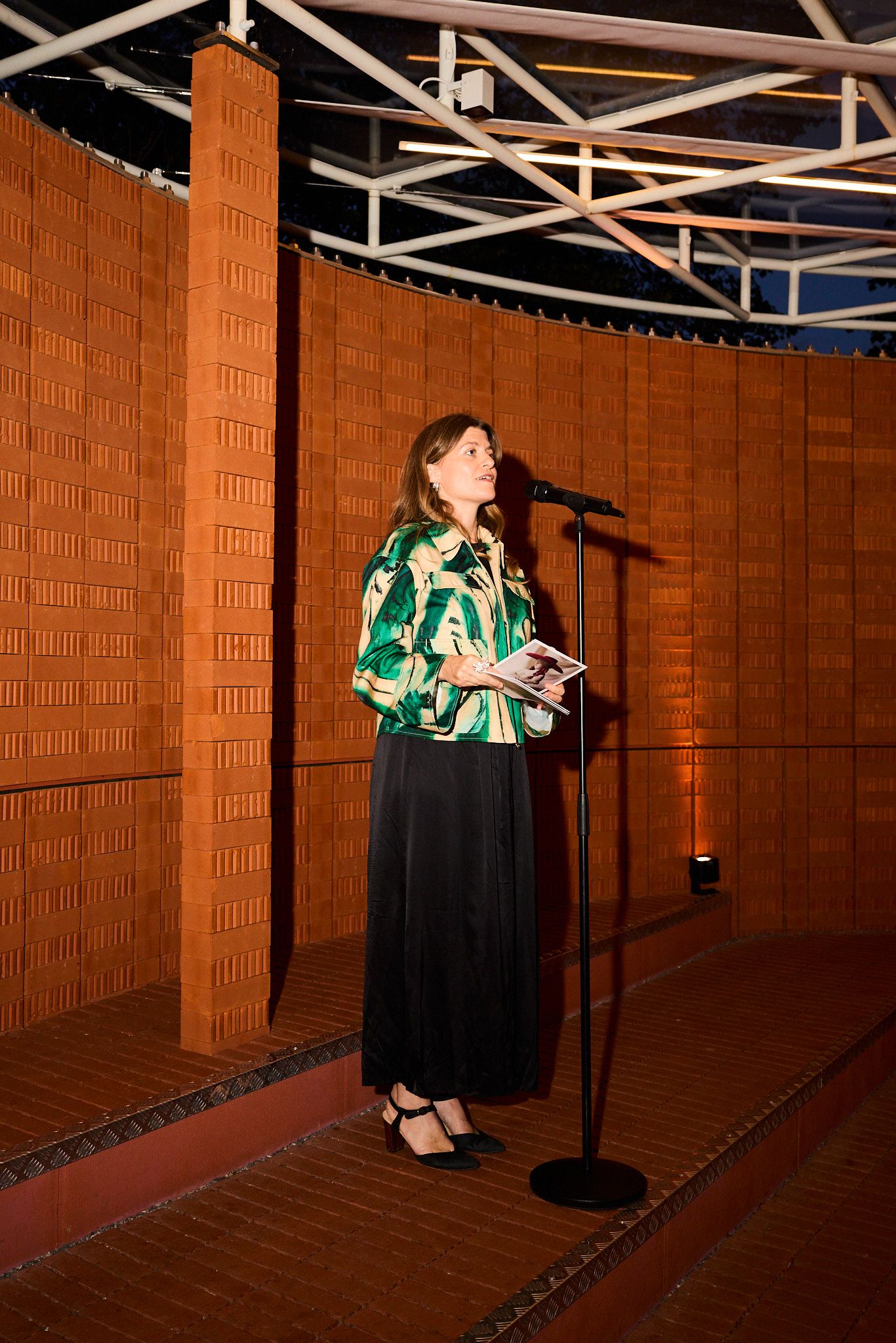 Image may contain Crowd Person Adult Audience Performer Solo Performance Speech and Podium